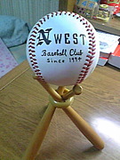 ��-��ʥ����αɸ�