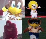 ������ץ����ݡ��Ģ�