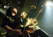 ZIZOH Japanese Wishbone Ash
