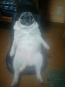 ���ͻԼ��ե��饪��