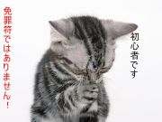 �ֽ鿴�ԡפ�������˻Ȥ�ʤ���
