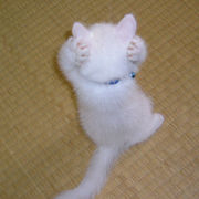 �����θ��ΥȥԤ��ݤ����ɤ�ʤ�