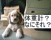νŷǰѰ