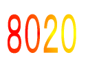 8020