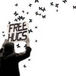 世界でフリーハグ　-FREE HUGS -