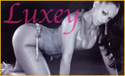 1982�ώώ�����Luxey��