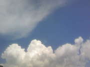 ��Snow Style�����̤عԤ�����