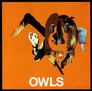 [Owls]