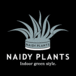 NAIDY PLANTS