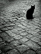 ��̣��̵������