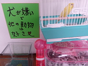 ������������¾��ưʪ�Ϲ�����