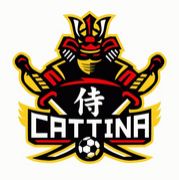 �ֻ���Cattina��