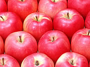 りんご＜果物＞アレルギー