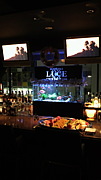 BAR LUCEَ ϻڡ