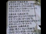 �Ķ���Ω����������ǯ´����