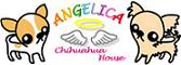 chihuahua house ANGELICA