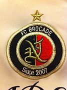 FC-Brocade