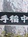 ������55��56������ǯ��ǯ����