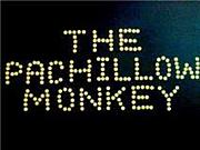 THE PACHILLOW MONKEY