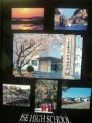 �����⣴����