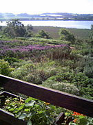 新潟のアロマセラピスト