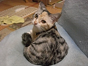 �ʤä��塡����������