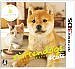 ڣģӡNintendogsCats