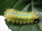 �ޤä���β�