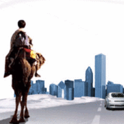 ���̸����֤���