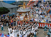 Ĺ�꤯������䲰Į��������