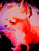 ���ۥ��ȥ���