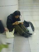 ����������ΰ�������դ��롣