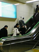 あさきまにあ同盟