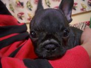 ���Ǥ���Ģ����