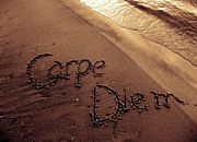 Carpe Diem!!