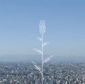 鲡ס֥