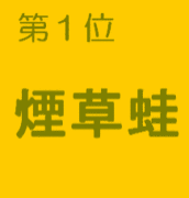 ������������ֶ�β���