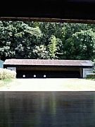 ������ƻ36-43