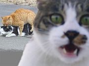�������饹������������