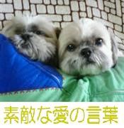 心が動いた愛の言葉集