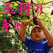 �̼��ꥮ��